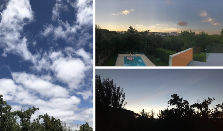 Daydream Collage - Jacqueline Muller